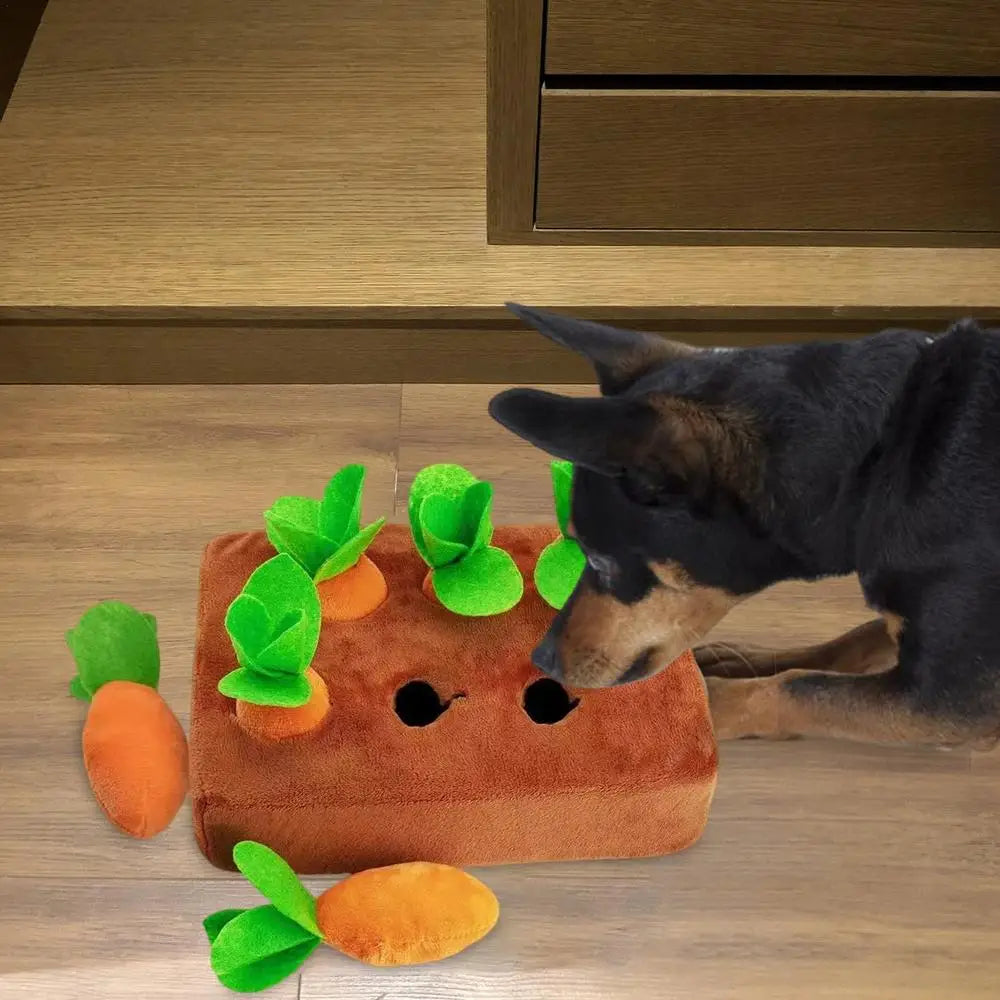 Carrot Snuffle Mat