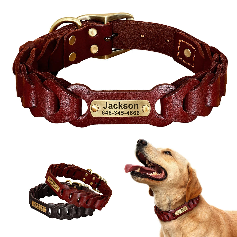 Leather Dog Collar With Name Plate