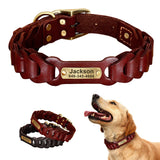 Leather Dog Collar With Name Plate