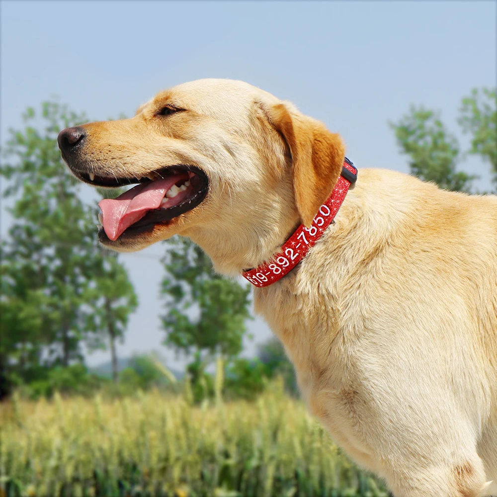 Adjustable Personalized  Embroidered Dog Collar