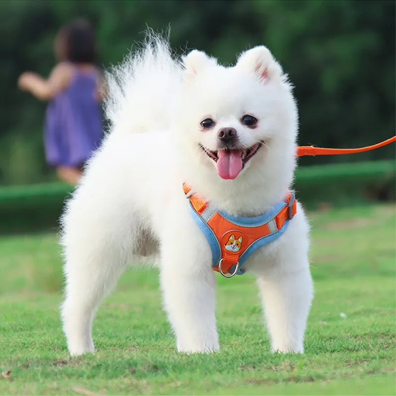 Reflective Harness Leash Set