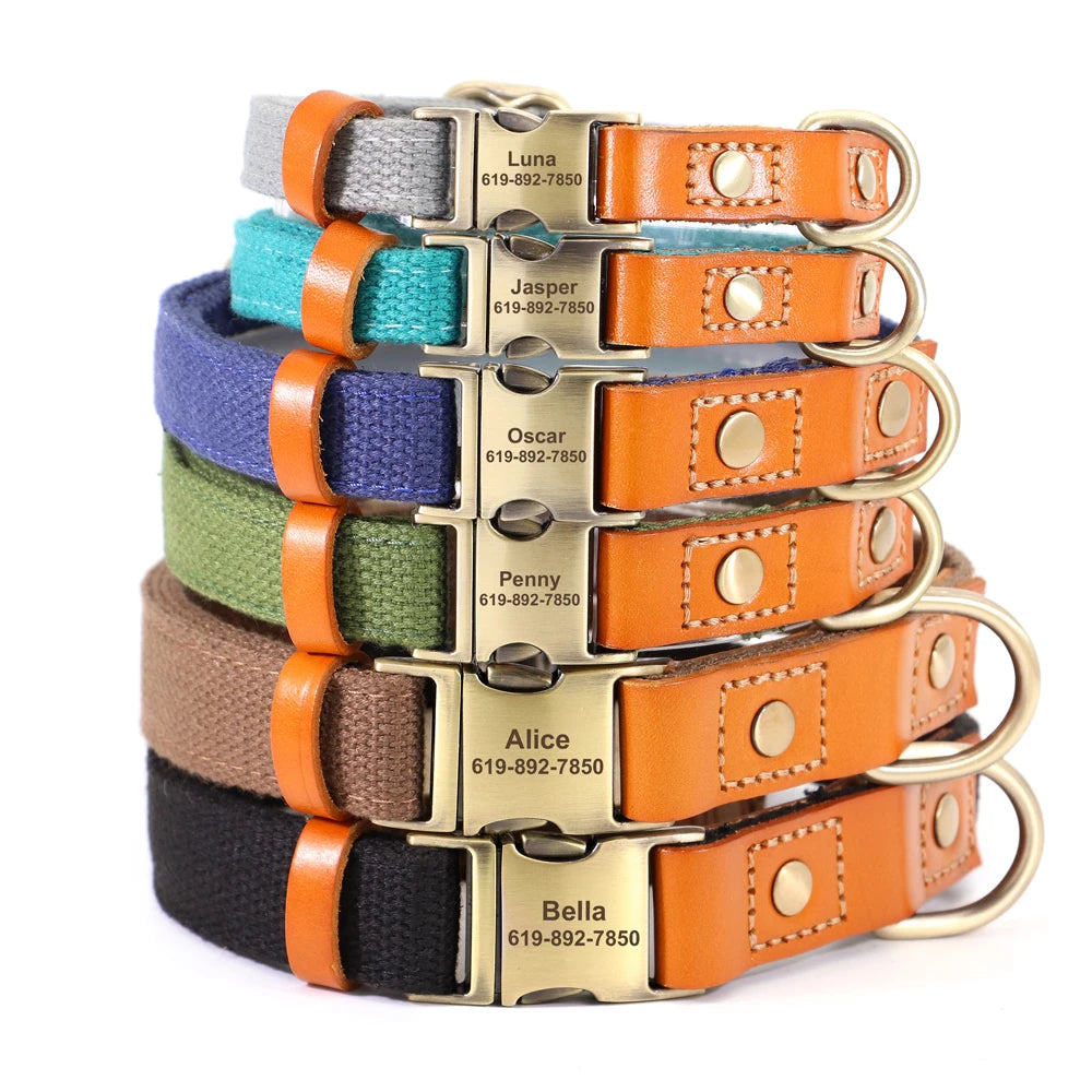 personalized dog collar and leash