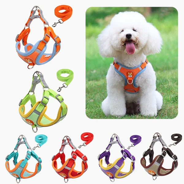 Reflective Harness Leash Set