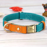 personalized dog collar and leash blue