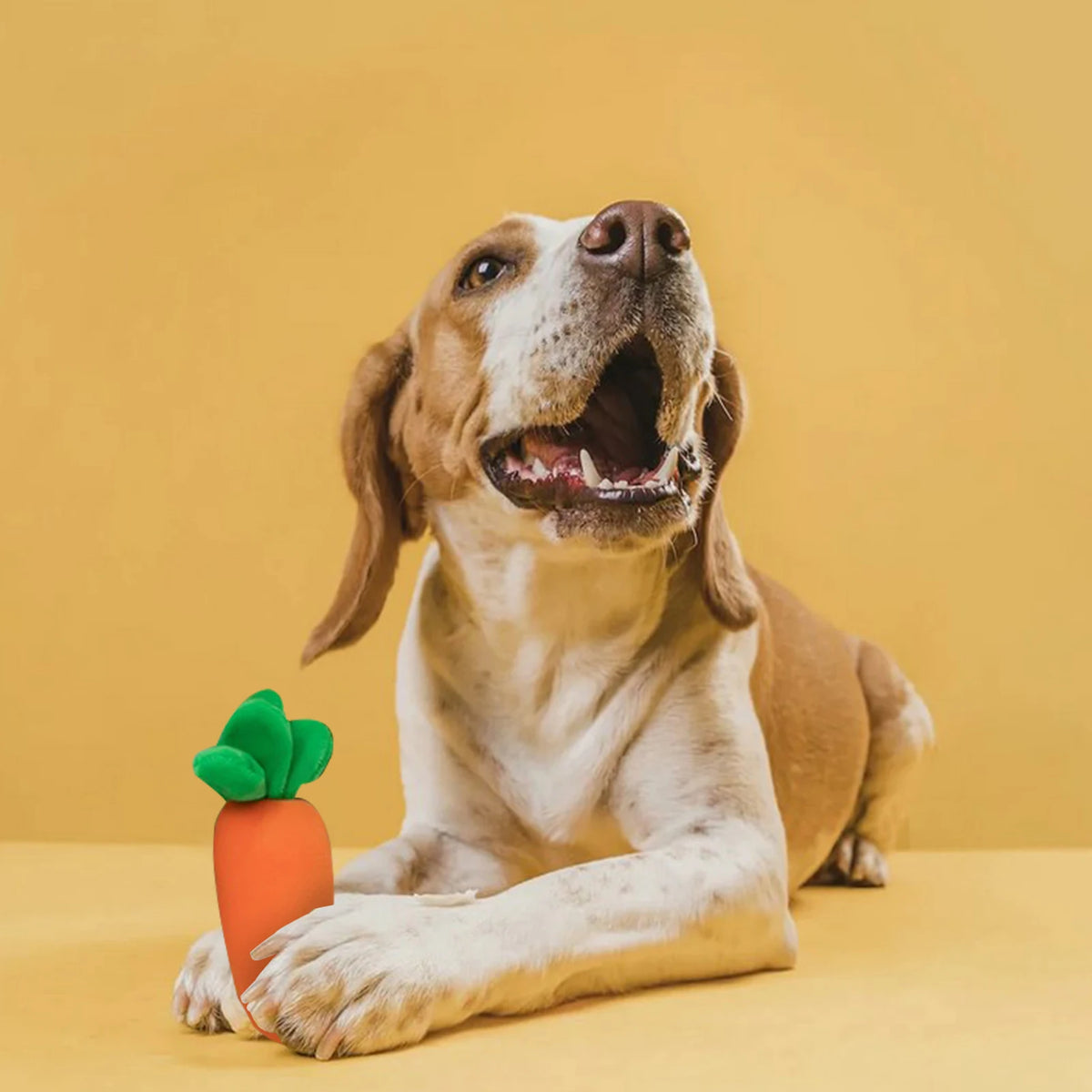 Vegetable-Designed Sniffing Plush Toy