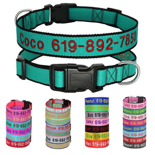 Embroidered customized dog collar