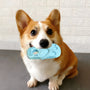 Interactive Slipper Shape Chew Toy