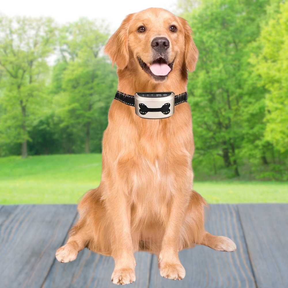 Rechargeable Anti-Bark Collar