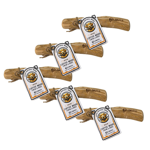 SALE!!! SET of 5 LEMURIA COFFEE WOOD CHEW STICK NATURAL TOY FOR DOGS