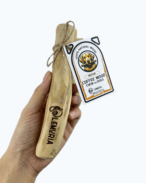 SALE!!! SET of 5 LEMURIA COFFEE WOOD CHEW STICK NATURAL TOY FOR DOGS
