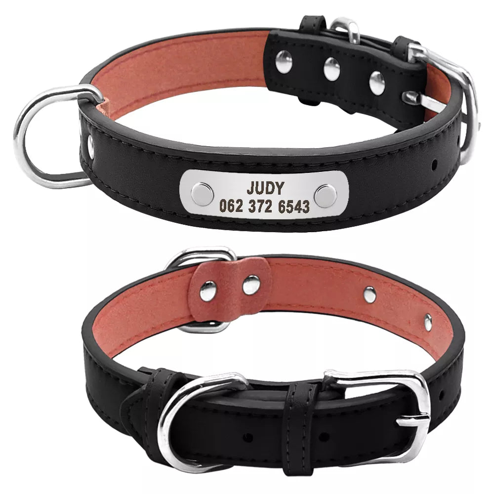 Personalized Dog Collar Vegan Leather for Small Medium Large Dogs and Cats