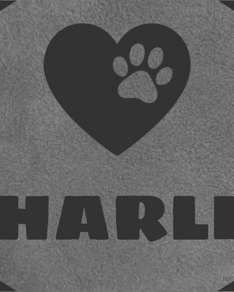 Personalized Green Pet Blanket Mat 31x24 - Engraved Name & Icon, Double-Sided Fleece & Sherpa, Dog & Cat