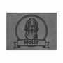 Personalized Gray Pet Blanket Mat 48x38 - Engraved Name & Breed Art, Double-Sided Fleece & Sherpa, Dog & Cat