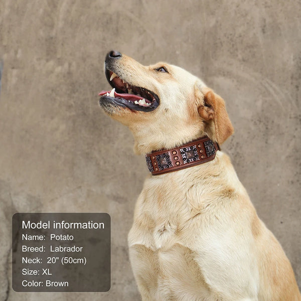 luxury leather dog collars