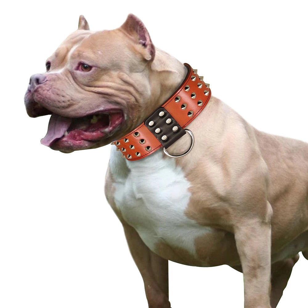 Leather Spiked Dog Collar for Large Dogs