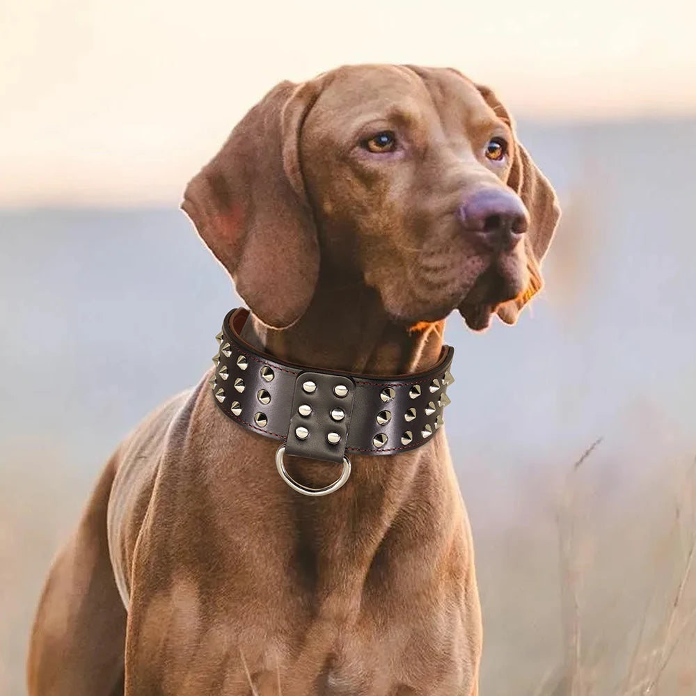 Leather Spiked Dog Collar for Large Dogs