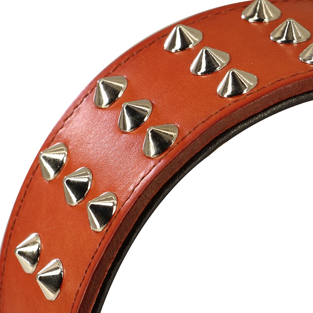 Leather Spiked Dog Collar for Large Dogs